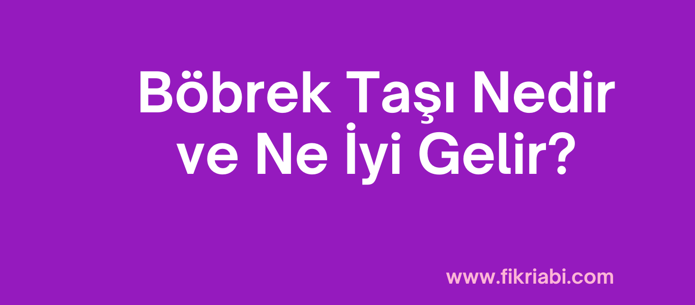 Böbrek Taşı