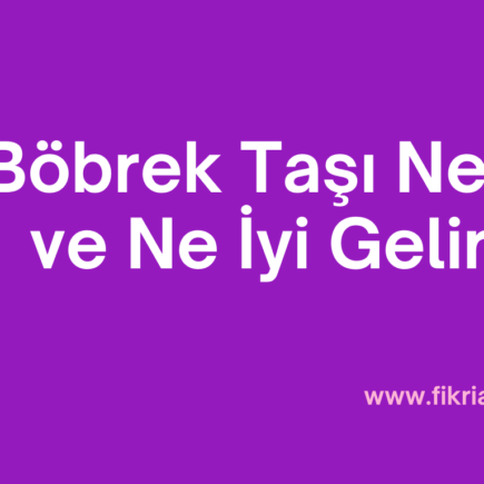 Böbrek Taşı