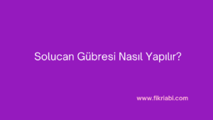  Solucan Gübresi
